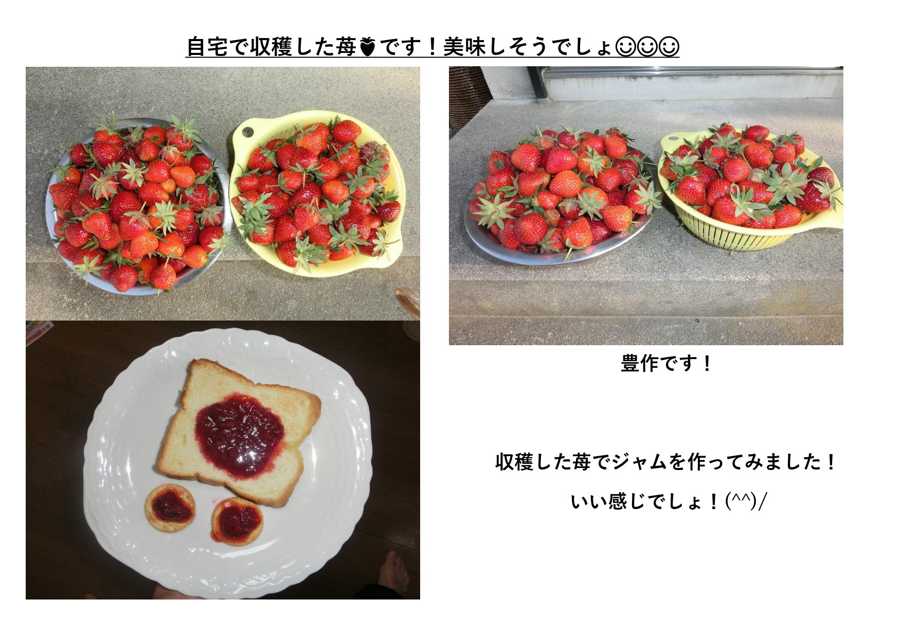村上　苺収穫_page-0001.jpg